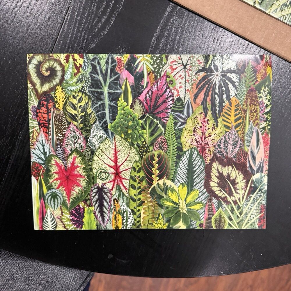 Houseplant Jungle & Identifier By Troy Litten 1000 pc 27" X 20" Galison Jigsaw